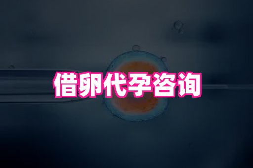 长春助孕网 1