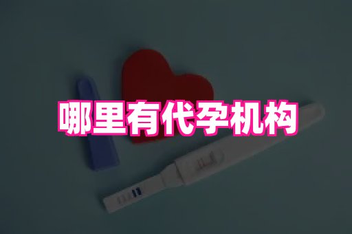 长春助孕网 2